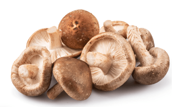 Shiitake