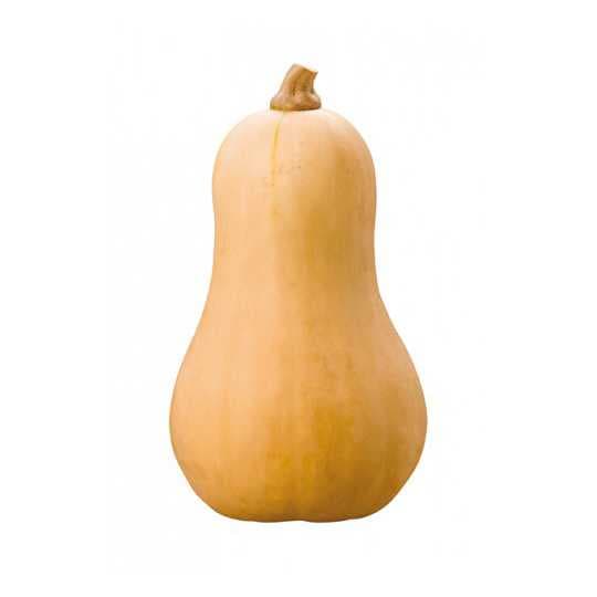 Calabaza Cacahuete