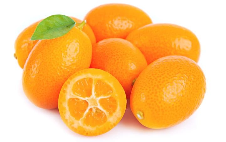 Kumquat