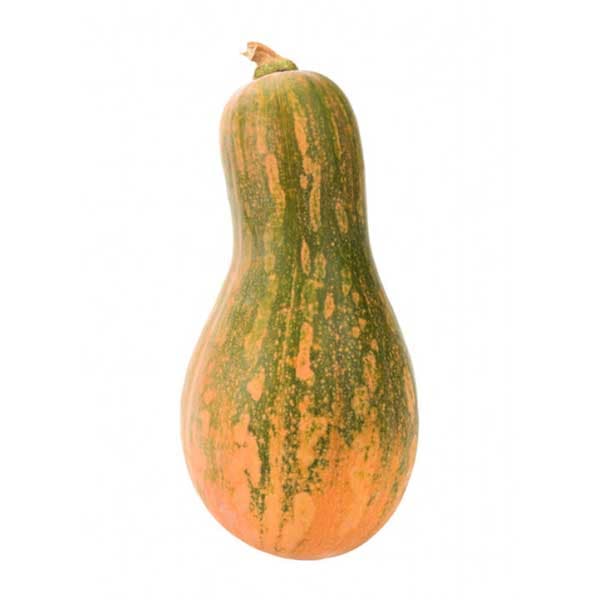 Calabaza