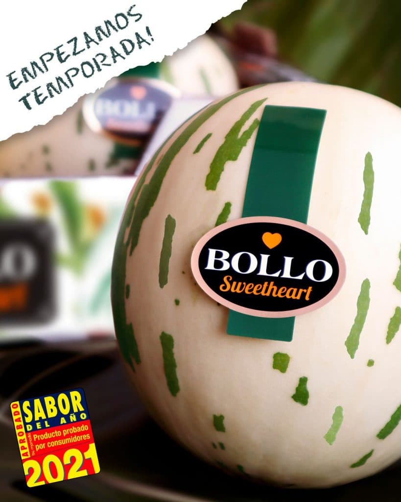 Melon Sweetheart BOLLO