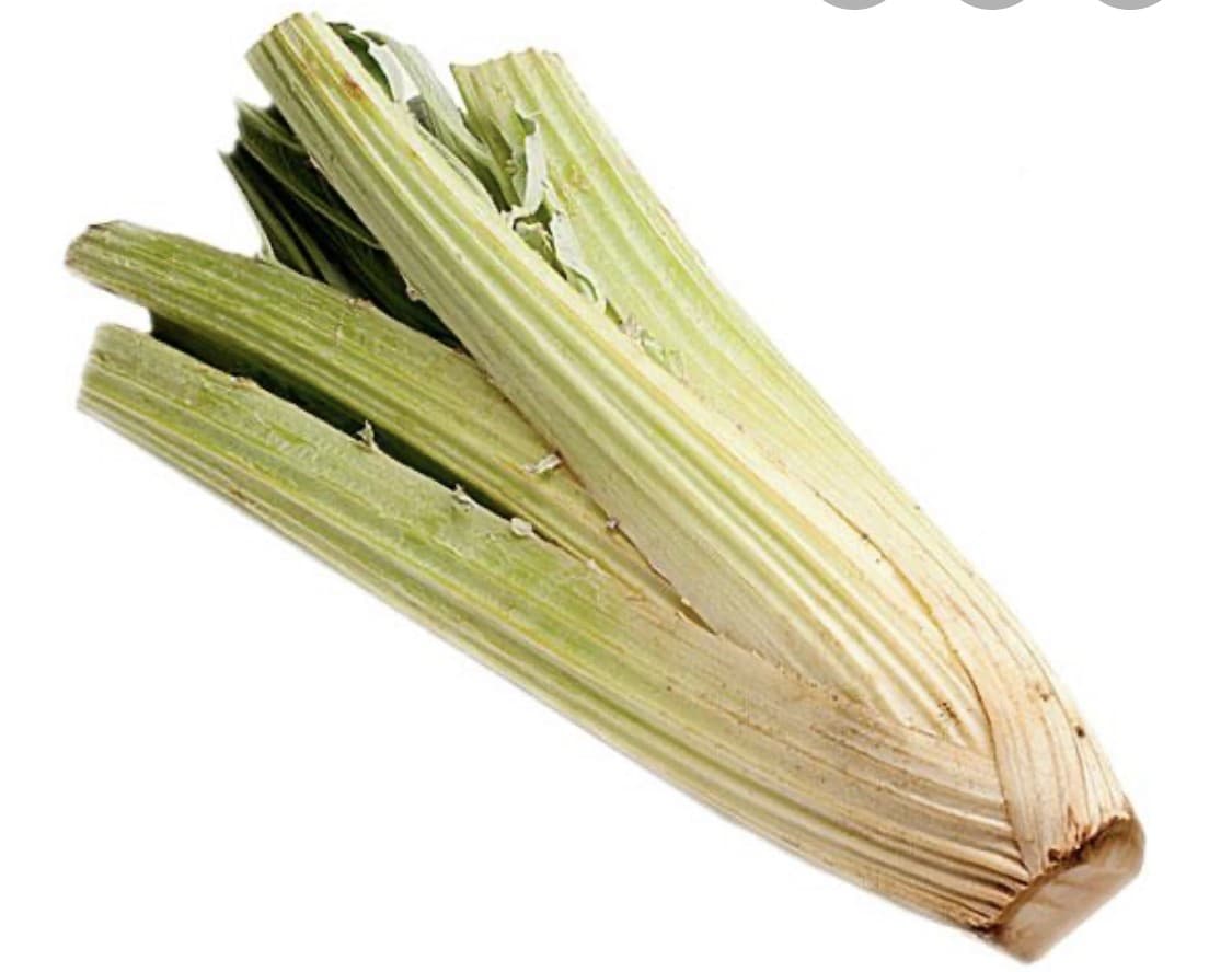 Cardo