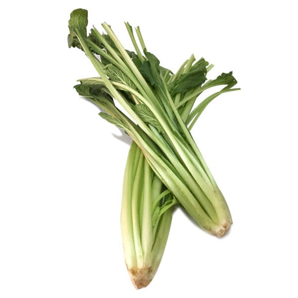Borraja