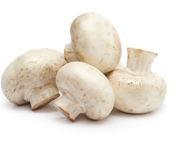 Champiñon