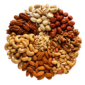 FRUTOS SECOS