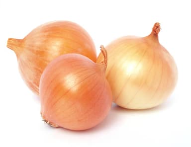 Istockphoto 683508570 612X612