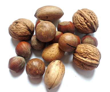 Frutos Secos