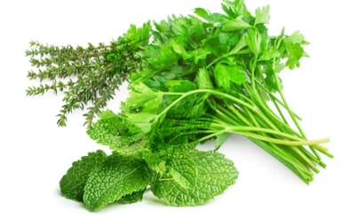 Aromaticas
