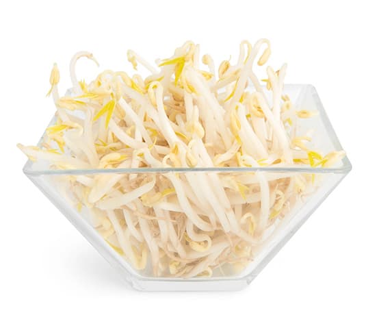 GERMINADO DE SOJA