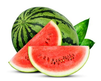 Istockphoto 1131704553 170667A
