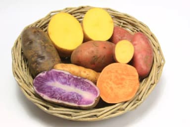 Tuberculos