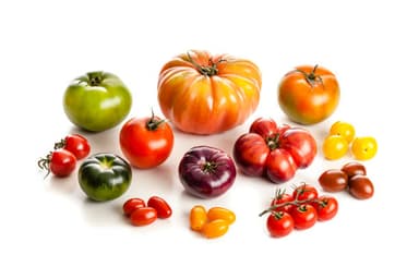 Istockphoto 918071884 612X612