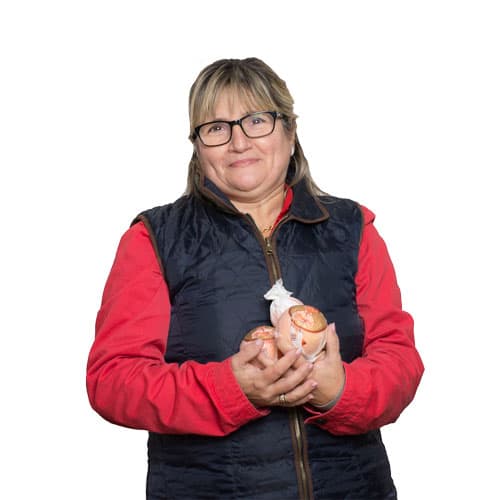 Rosa