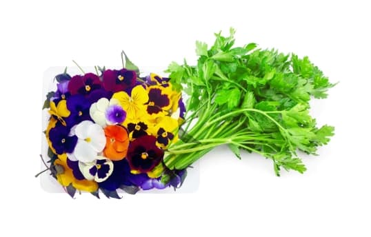 Aromaticasyflores